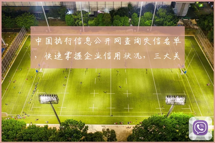 中国执行信息公开网查询失信名单，快速掌握企业信用状况，三大关键信息不容错过，