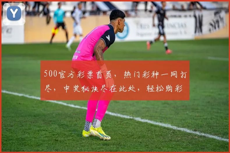 500官方彩票首页，热门彩种一网打尽，中奖秘诀尽在此处，轻松购彩，惊喜连连