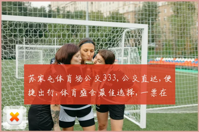 苏家屯体育场公交333,公交直达,便捷出行,体育盛会最佳选择,一票在手,畅享运动盛宴。