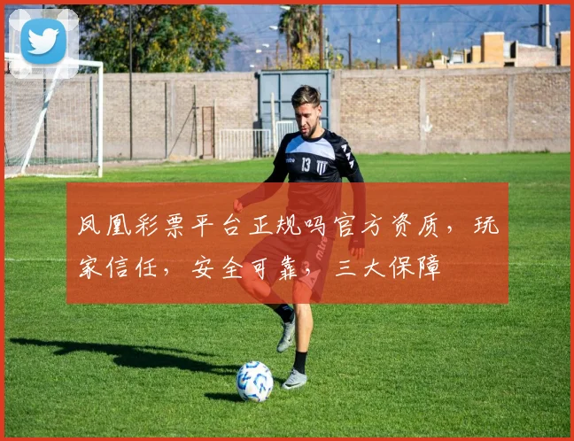 凤凰彩票平台正规吗官方资质，玩家信任，安全可靠，三大保障